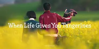When Life Gives You Tangerines